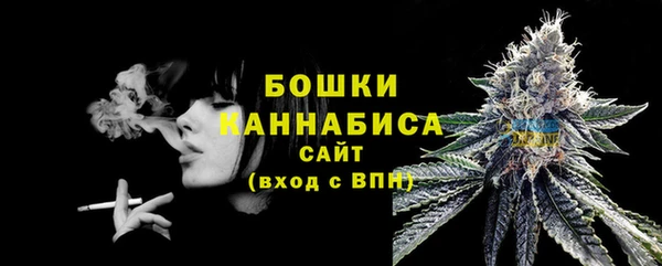 спайс Кулебаки
