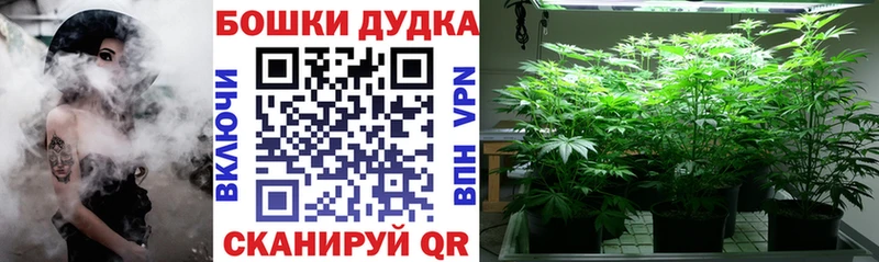Канабис семена  Купить закладки  Верхняя Салда 
